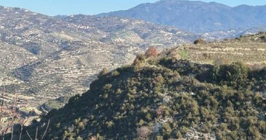 Agricultural Land for Sale (2 Abutting Fields) – Pachna Community, Limassol District