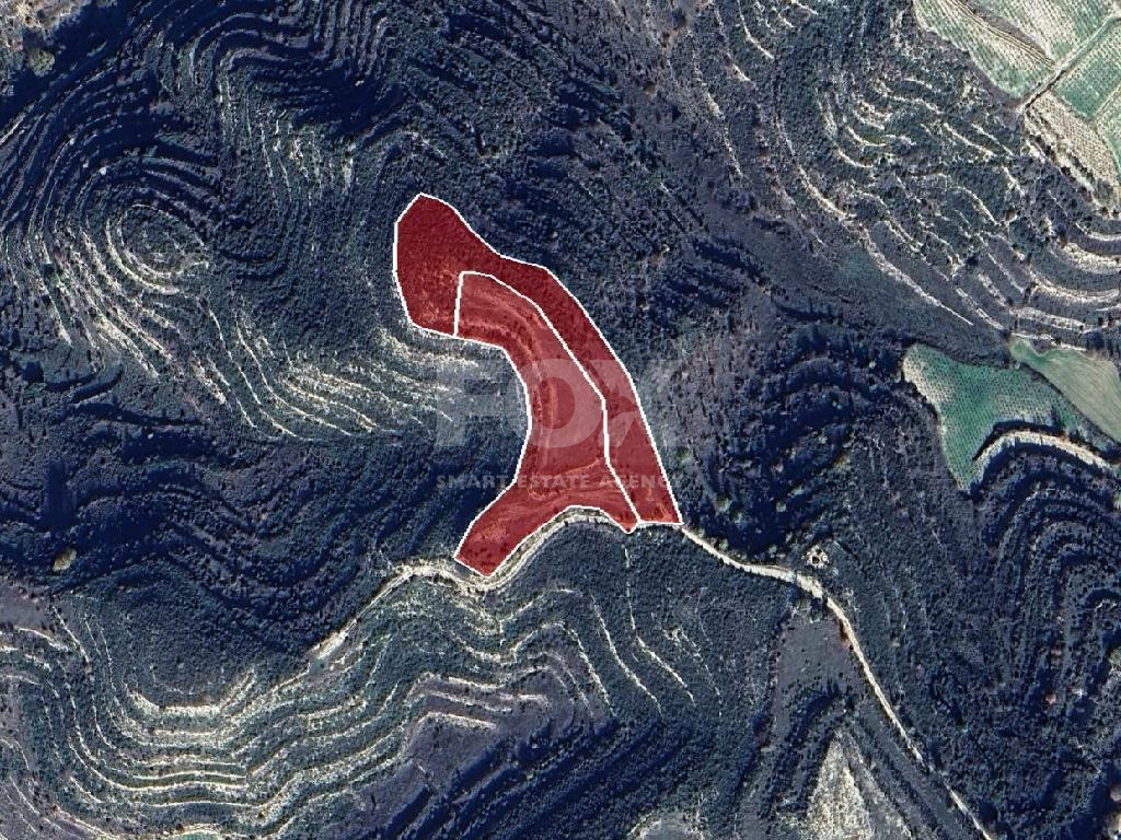 Agricultural Land for Sale (2 Abutting Fields) – Pachna Community, Limassol District