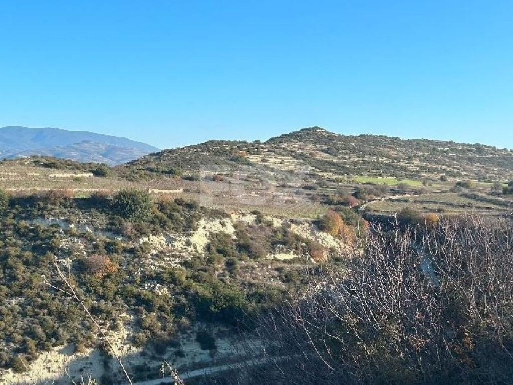 Agricultural Land for Sale (3 Abutting Fields) – Pachna Community, Limassol District