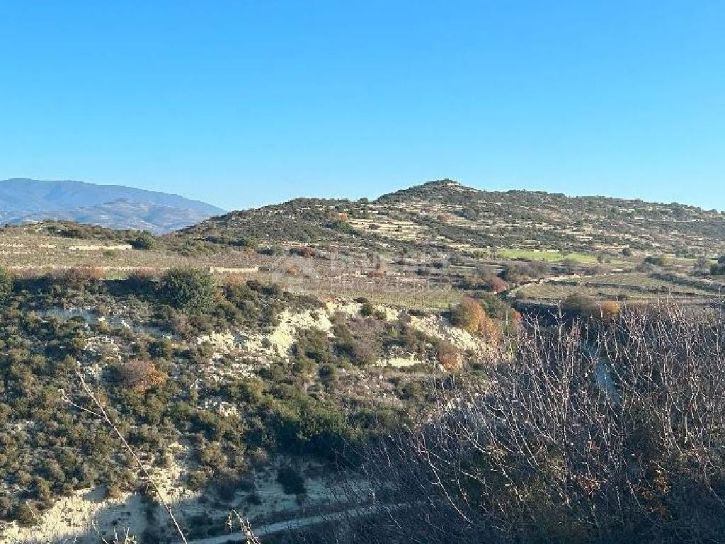 Agricultural Land for Sale (3 Abutting Fields) – Pachna Community, Limassol District