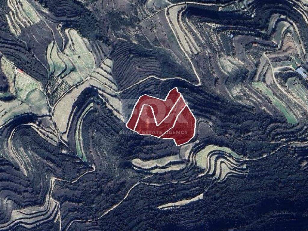 Agricultural Land for Sale (3 Abutting Fields) – Pachna Community, Limassol District