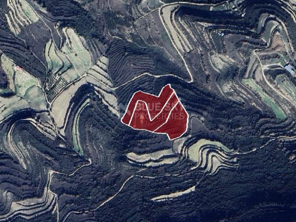 Agricultural Land for Sale (3 Abutting Fields) – Pachna Community, Limassol District