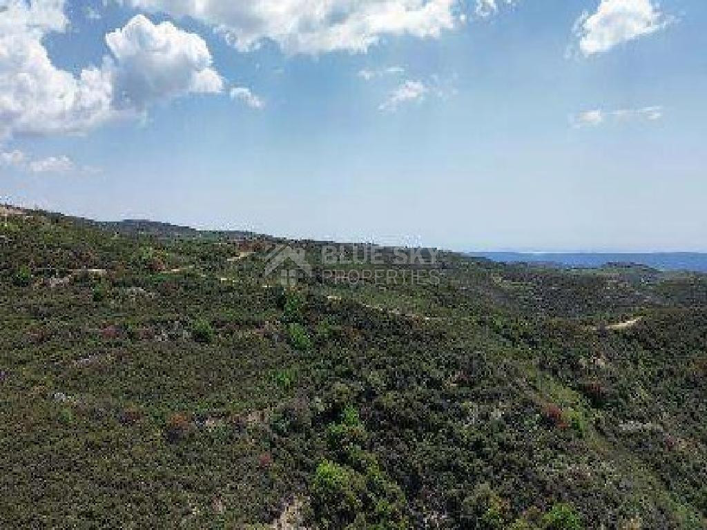 Agricultural Land for Sale – Omodos Village, Limassol District