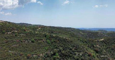 Agricultural Land for Sale – Omodos Village, Limassol District
