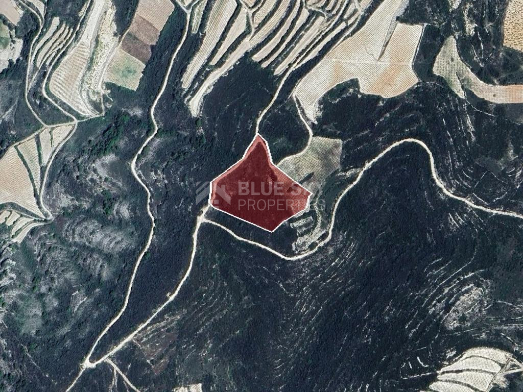 Agricultural Land for Sale – Omodos Village, Limassol District