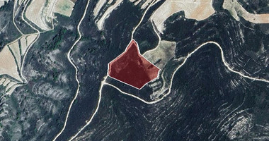 Agricultural Land for Sale – Omodos Village, Limassol District