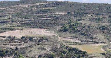 Agricultural Land for Sale – Omodos Village, Limassol District