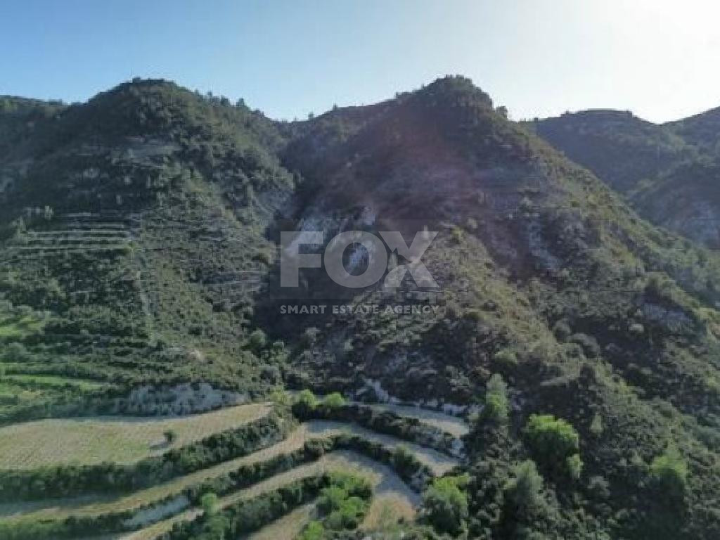Expansive Agricultural Land for Sale – Agios Mamas Community, Limassol District