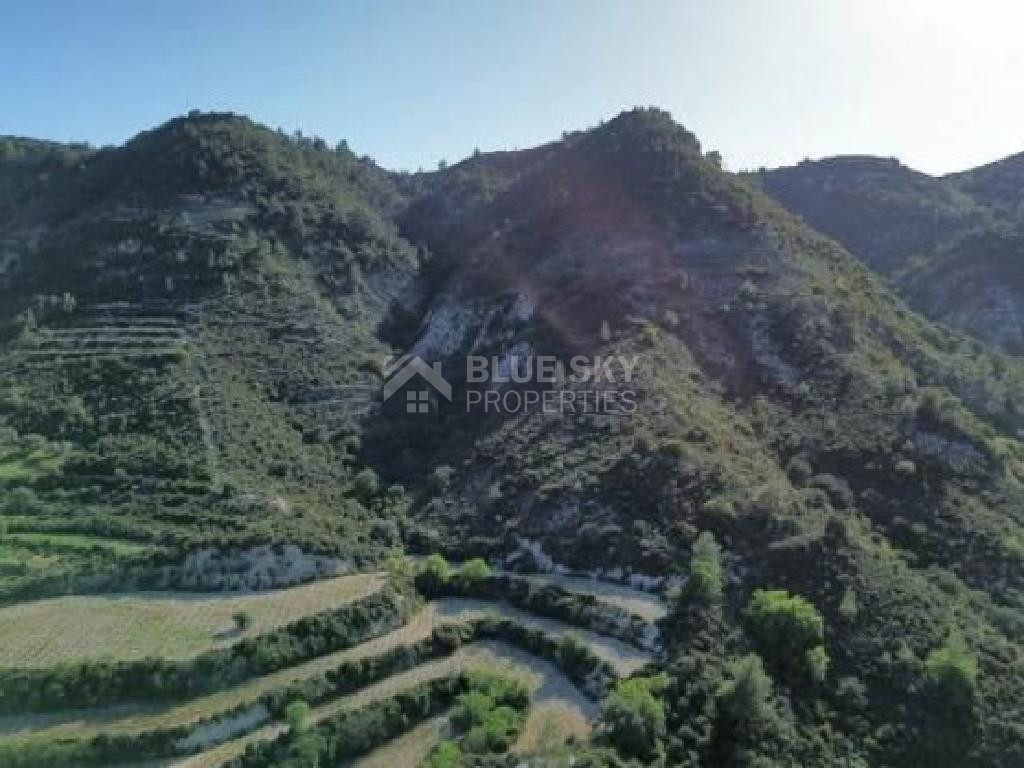 Expansive Agricultural Land for Sale – Agios Mamas Community, Limassol District