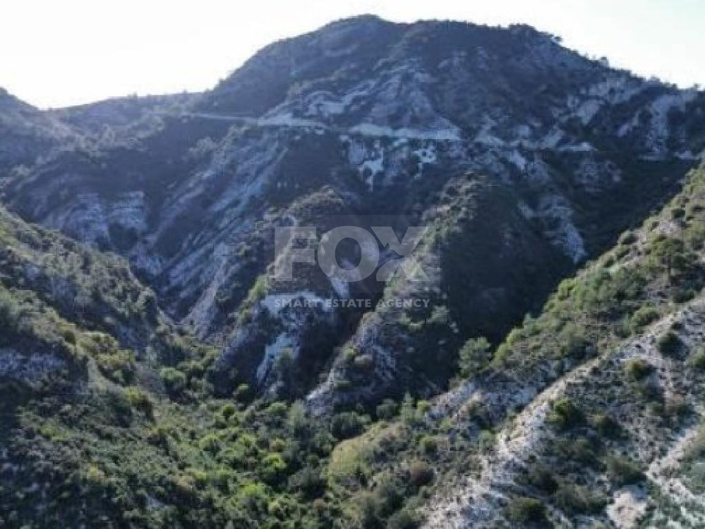 Expansive Agricultural Land for Sale – Agios Mamas Community, Limassol District