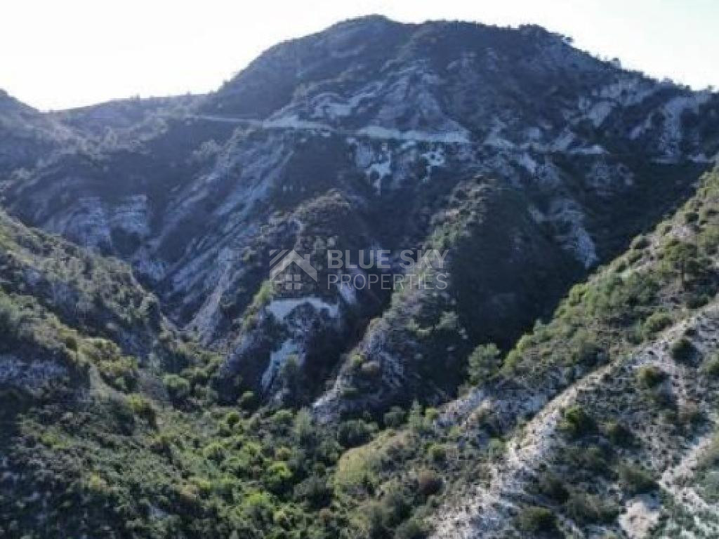 Expansive Agricultural Land for Sale – Agios Mamas Community, Limassol District