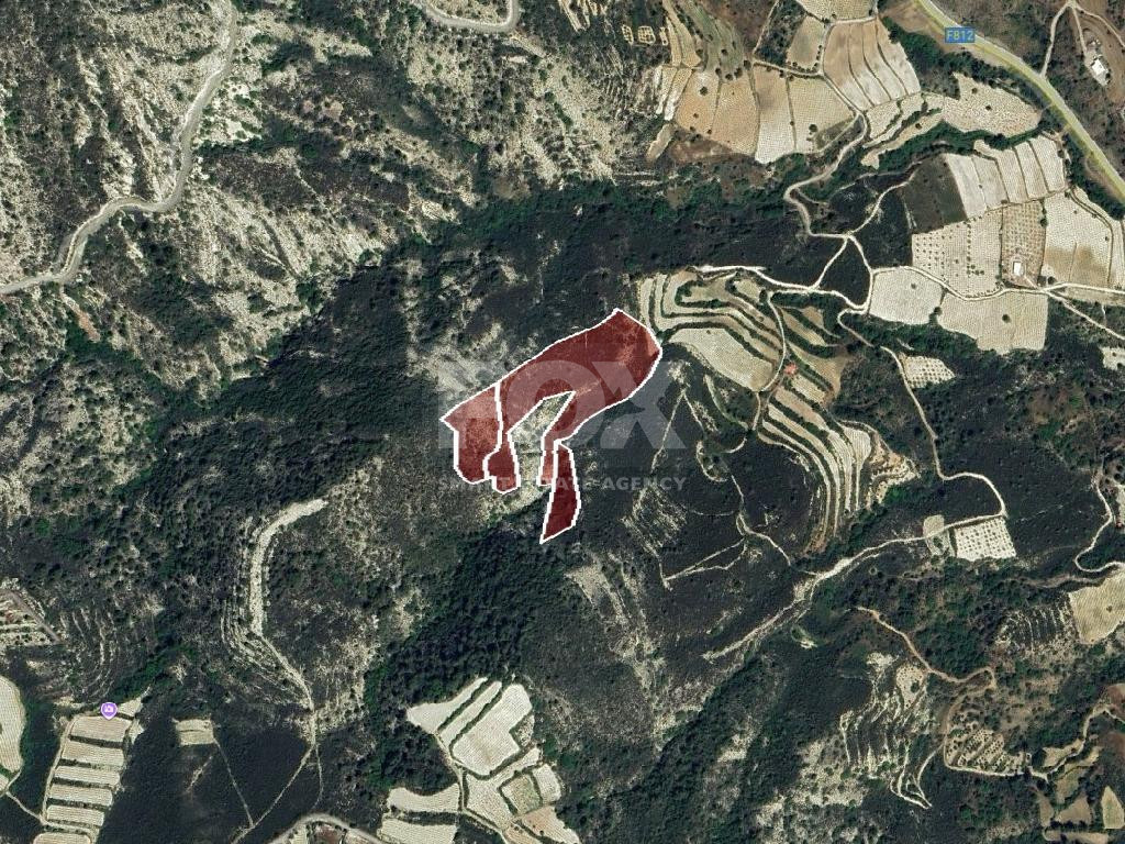 Expansive Agricultural Land for Sale – Agios Mamas Community, Limassol District