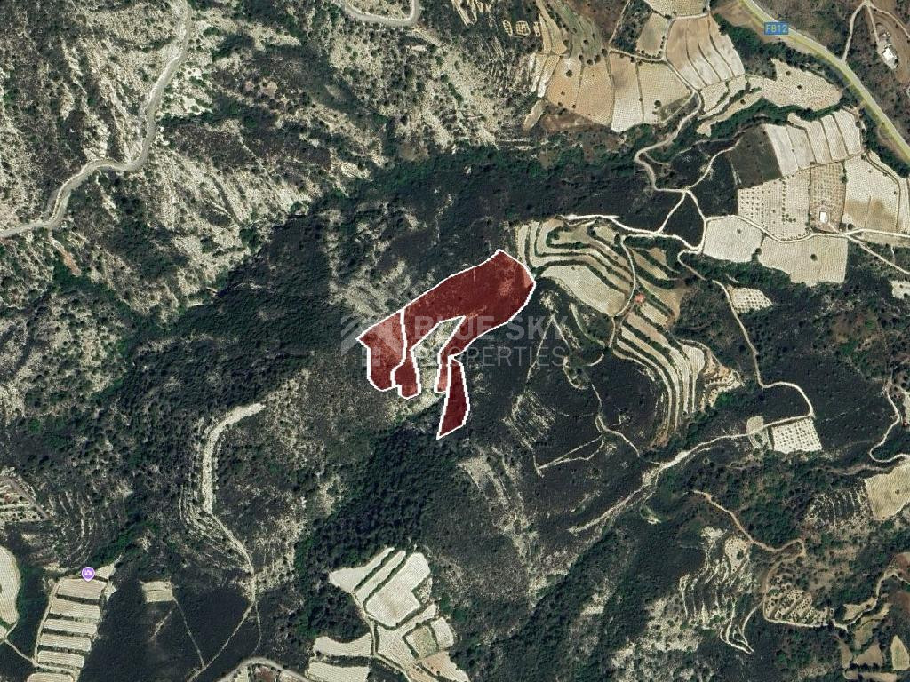 Expansive Agricultural Land for Sale – Agios Mamas Community, Limassol District