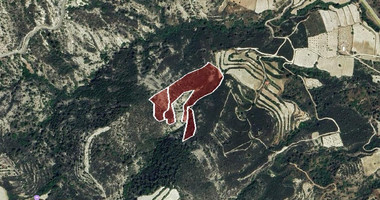 Expansive Agricultural Land for Sale – Agios Mamas Community, Limassol District