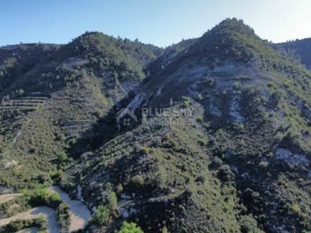 Expansive Agricultural Land for Sale – Agios Mamas Community, Limassol District