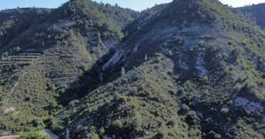 Expansive Agricultural Land for Sale – Agios Mamas Community, Limassol District