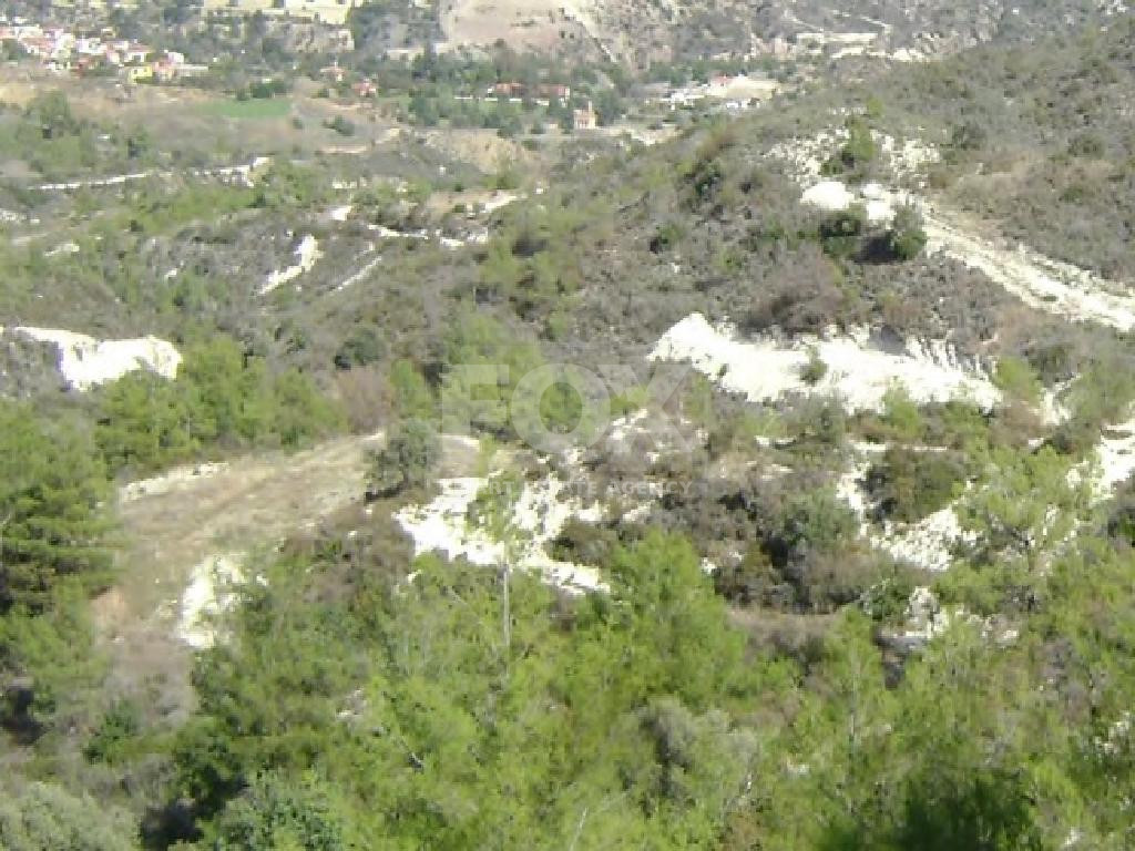 Agricultural Land for Sale – Undivided ½ Share in Asgata Village, Limassol District