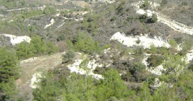 Agricultural Land for Sale – Undivided ½ Share in Asgata Village, Limassol District