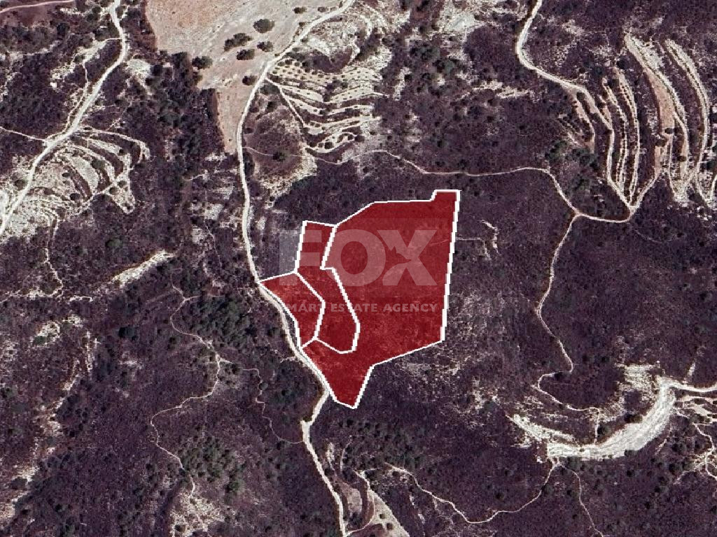 Agricultural Land for Sale – Undivided ½ Share in Asgata Village, Limassol District