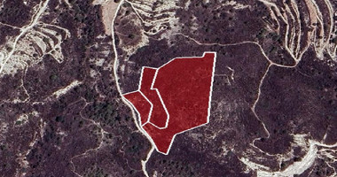 Agricultural Land for Sale – Undivided ½ Share in Asgata Village, Limassol District