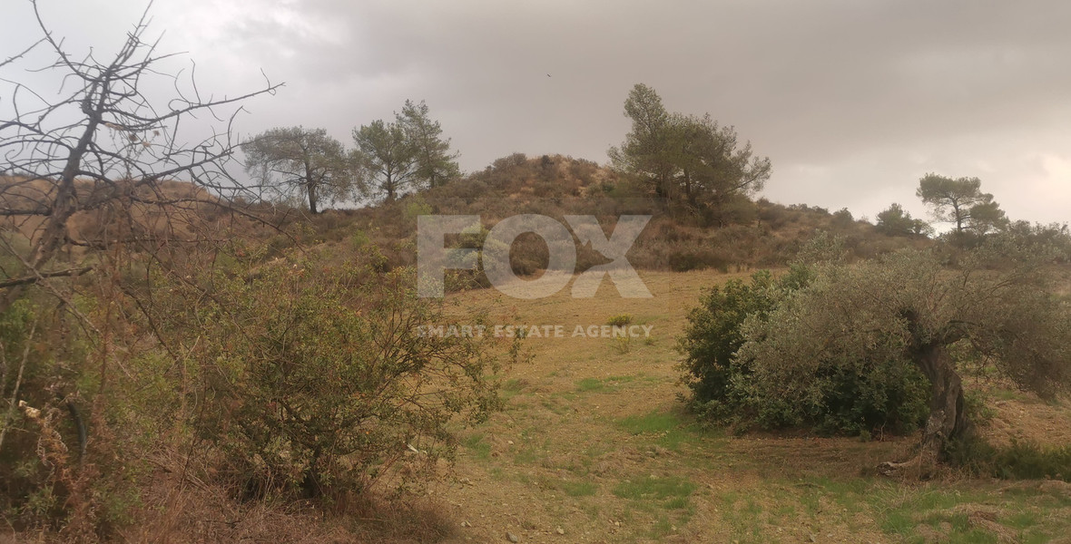 Land for rent in Ekali, Limassol