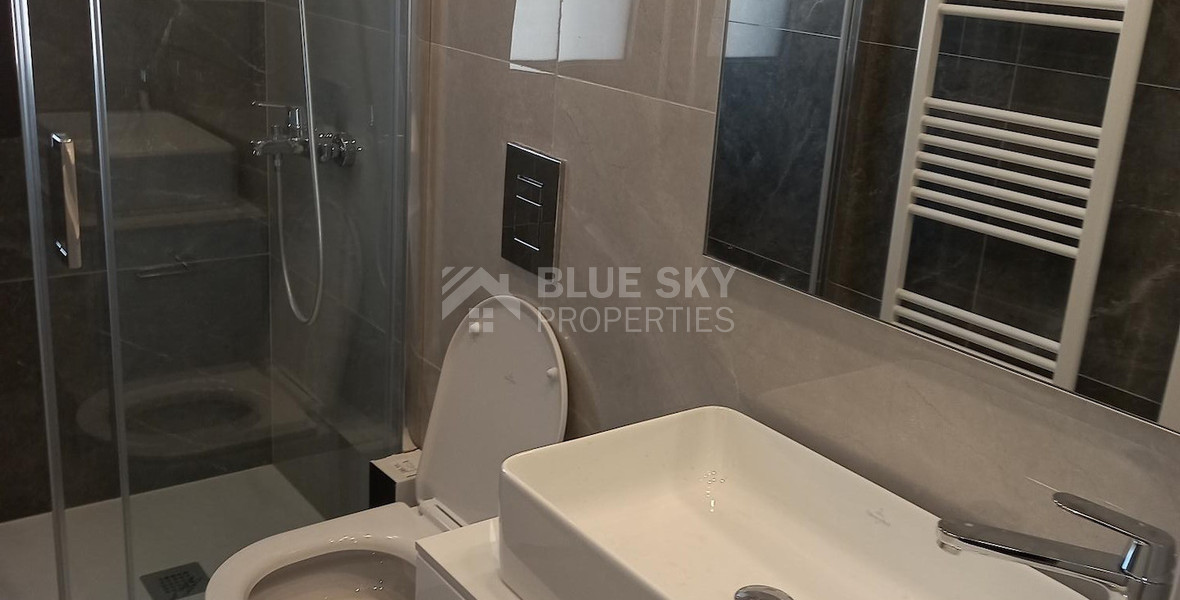 Four bedroom full floor apartment for rent, Agios Athanasios