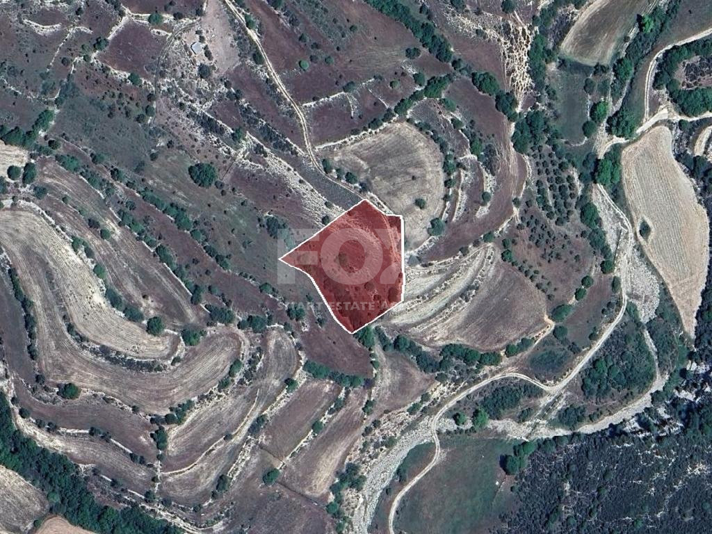 Agricultural Land for Sale in Dora Village, Limassol