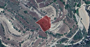 Agricultural Land for Sale in Dora Village, Limassol