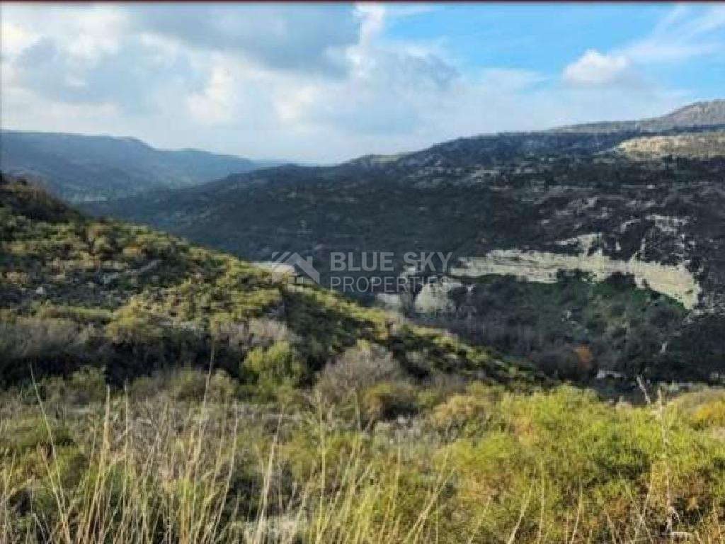 Agricultural Land 8,027 sq.m. for Sale in Dora Village, Limassol