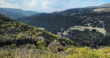 Agricultural Land 8,027 sq.m. for Sale in Dora Village, Limassol