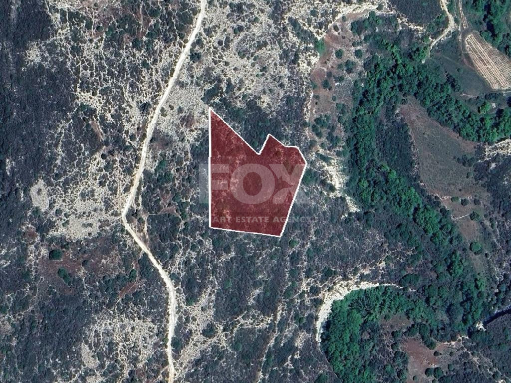 Agricultural Land 8,027 sq.m. for Sale in Dora Village, Limassol