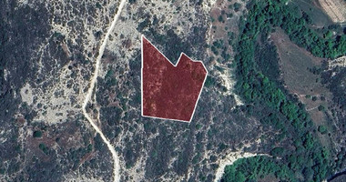 Agricultural Land 8,027 sq.m. for Sale in Dora Village, Limassol