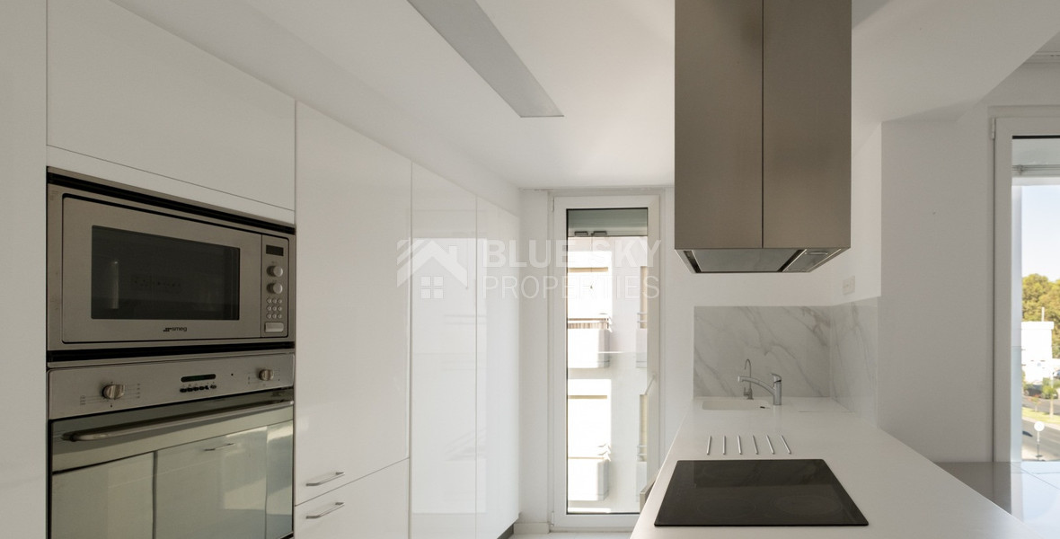 Seafront Two-Bedroom Apartment for Rent Opposite Dasoudi Beach, Germasogeia