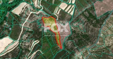 Land For Sale In Koilani Limassol Cyprus