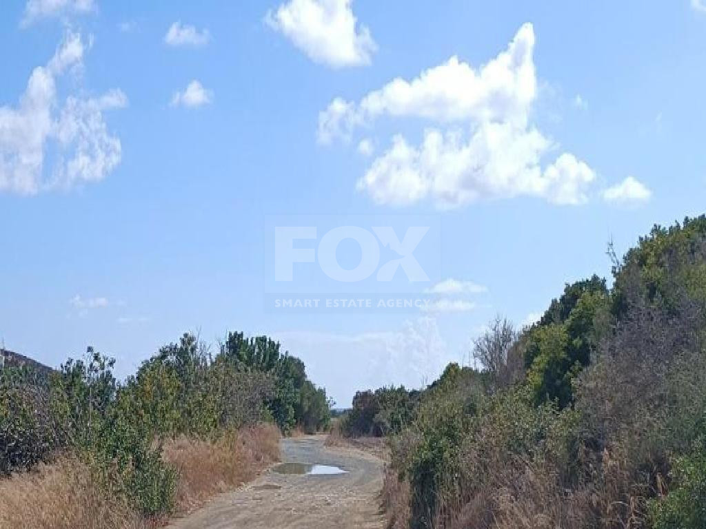 Agricultural Land for Sale in Moni, Limassol