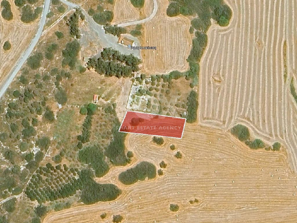 Agricultural Land for Sale in Moni, Limassol