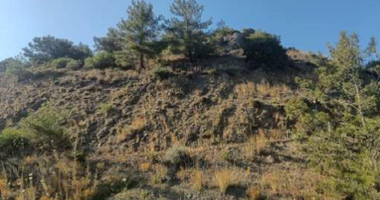 Agricultural Land for Sale in Pelendri, Limassol