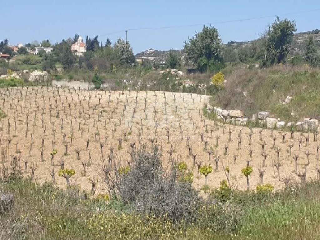 1/4 Undivided Share of Residential Land for Sale in Pachna Village, Limassol