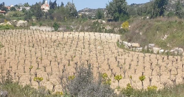 1/4 Undivided Share of Residential Land for Sale in Pachna Village, Limassol