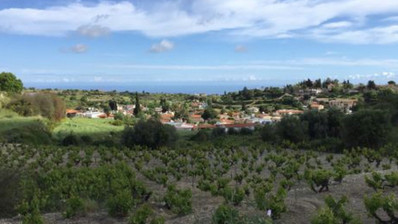 Plot For Sale In Pachna Limassol Cyprus