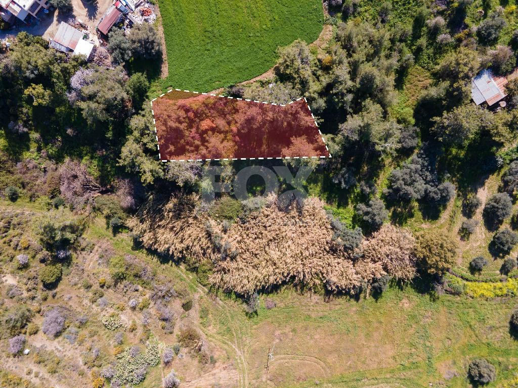 Residentila field in Argaka for sale