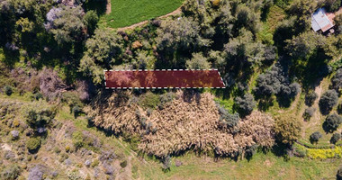 Residentila field in Argaka for sale