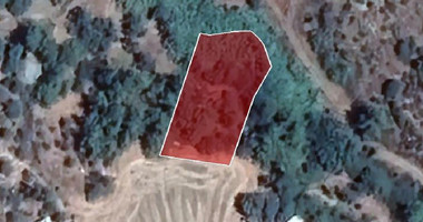 Residentila field in Argaka for sale