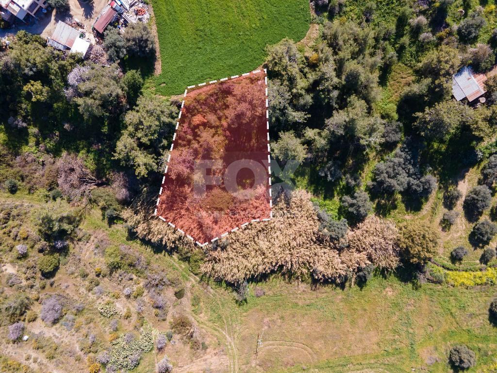 Residentila field in Argaka for sale