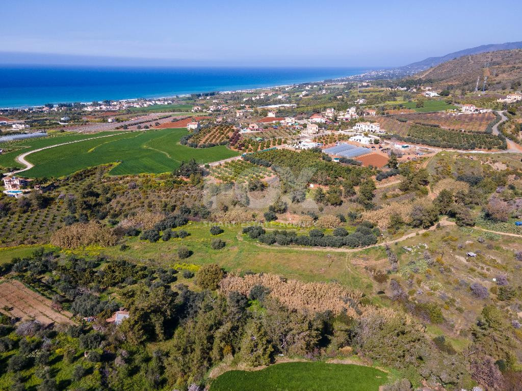 Residentila field in Argaka for sale