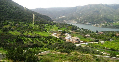 Land For Sale In Foinikaria Limassol Cyprus