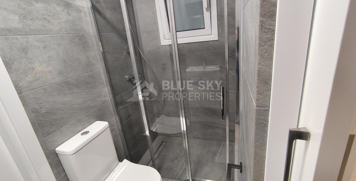 Three bedroom renovated house in Mesa Geitonia for rent, Limassol