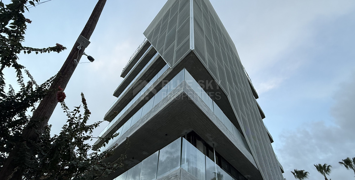 RENT: NEW LUXURY OFFICE BUILDING