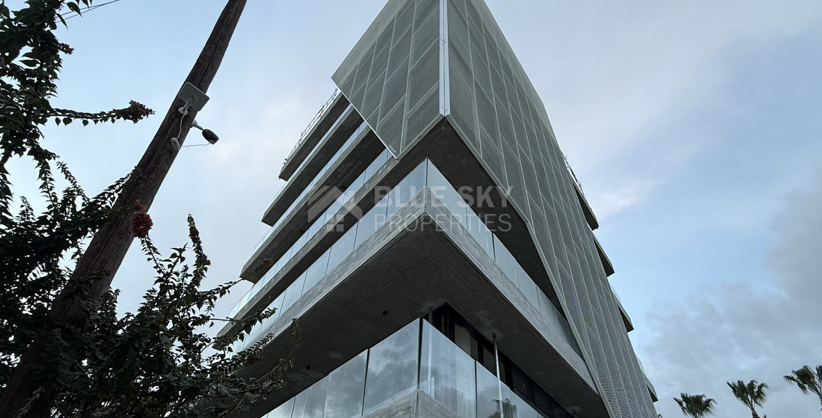 RENT: NEW LUXURY OFFICE BUILDING