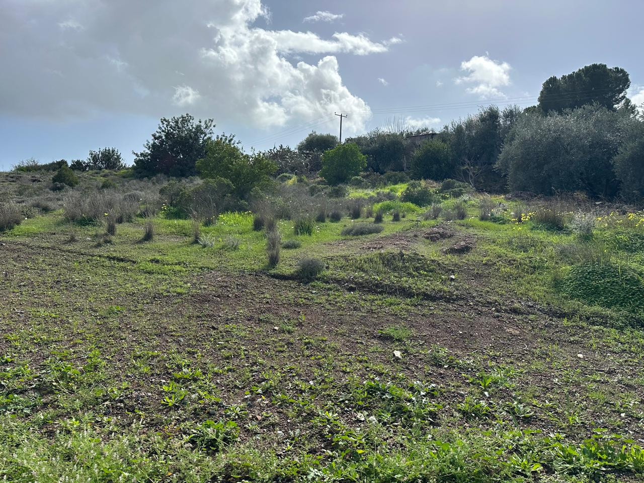 Земельные участки  Мони, Кипр